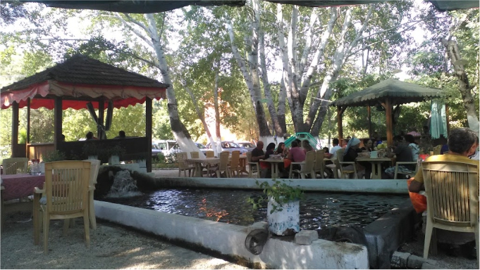 Köy Etkinlikleri